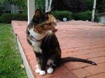 It's been a year today Gina. I miss you so much.