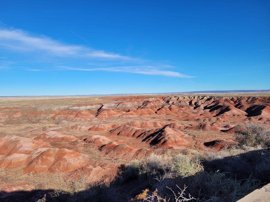 Petrified Forest National Park. Just gorgeous. Highly recommend visiting.