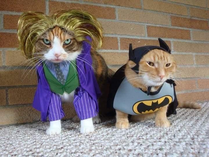 Happy Halloween!!!