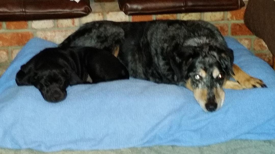 Karma and Lilly. ♡♡♡♡♡