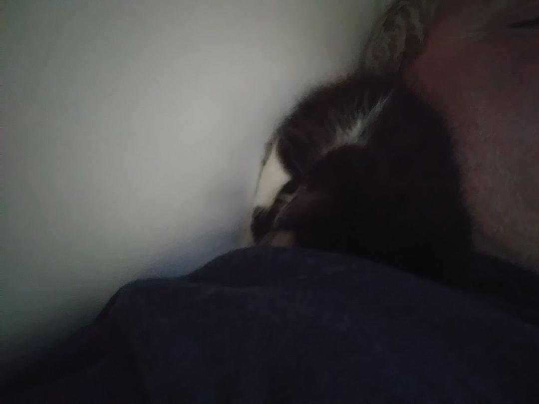 The one curled up on my neck, I have named "MeYu" because of the way she meows...
