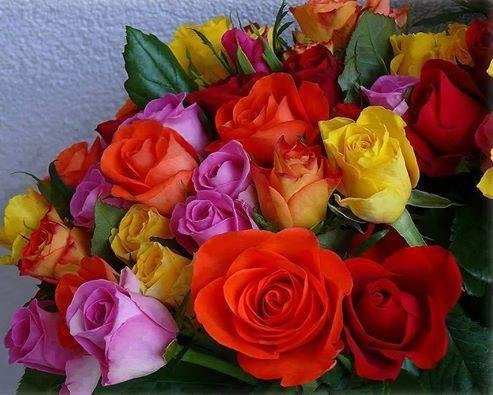Happy Mother's Day To all the wonderful Mother's , enjoy this special day that is meant just for you