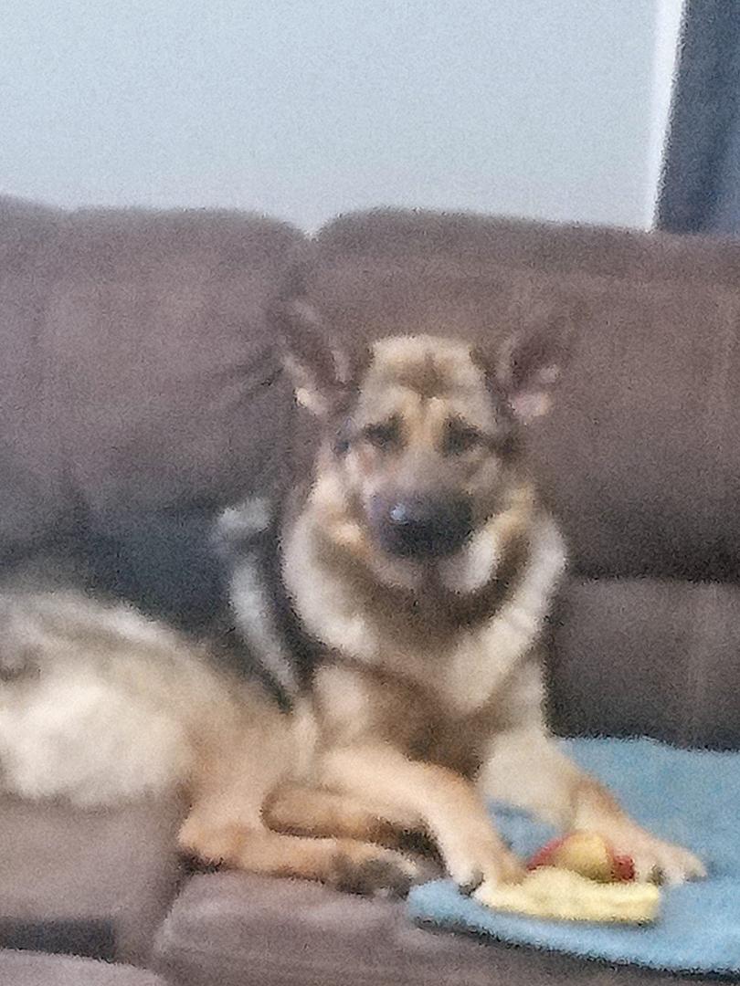 Ladies having a good day today she looked at the camera