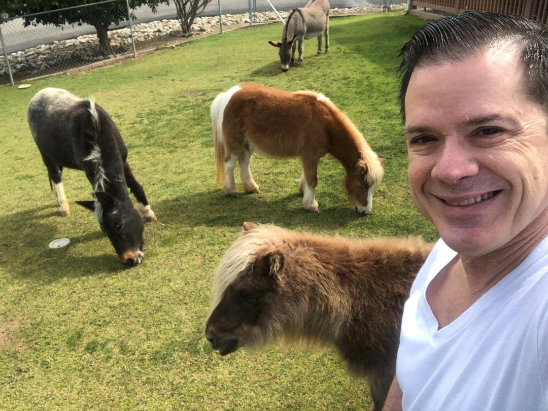 Me and my rescues. They all have a sad story from their prior homes. They have quite the life now!