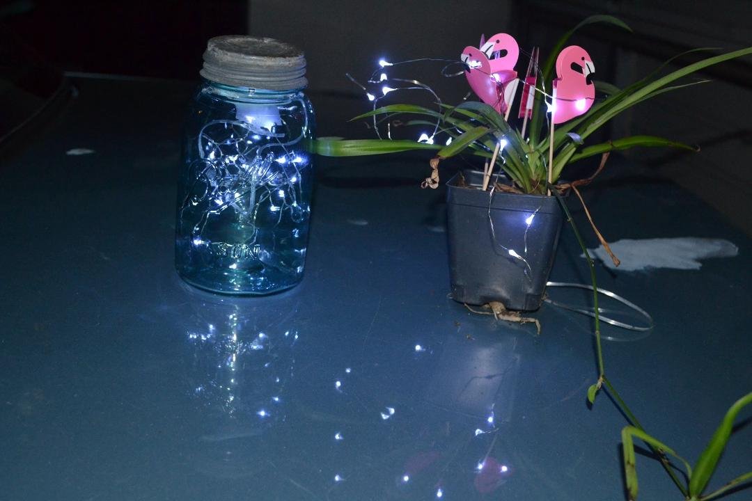 Claire brought the materials and made us a flamingo decorated potted plant and a twinkle twinkle little jar with lights in a bottle when she was here Easter weekend. She also creates rhyming poetry throughout the day. Than