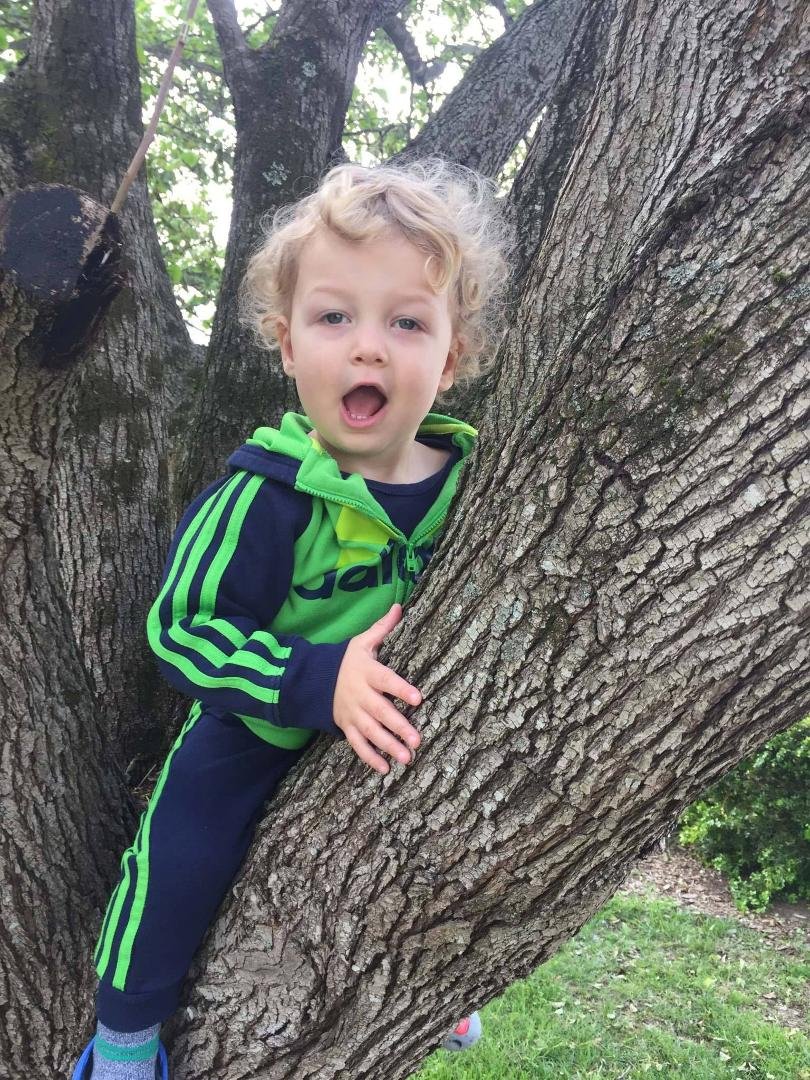 Carter in a tree.