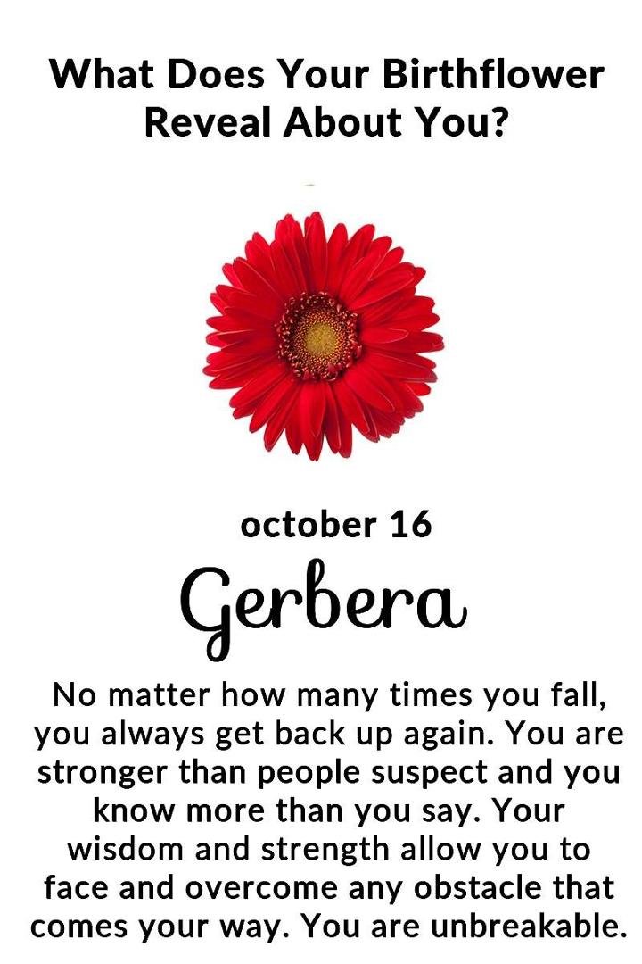 Lori Tucker's album, Timeline Photos