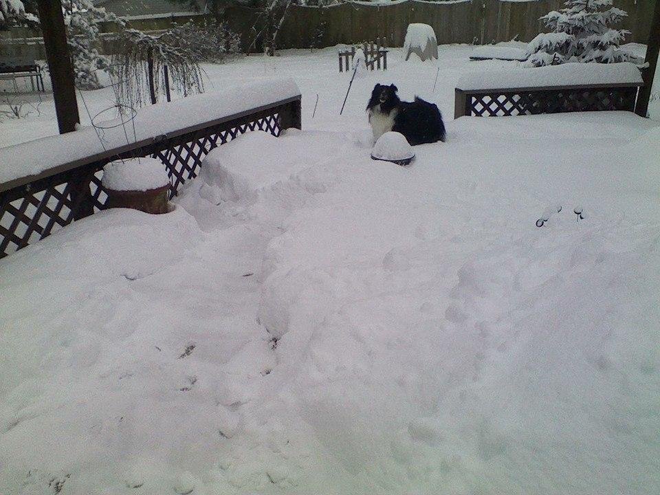 It's snowing...