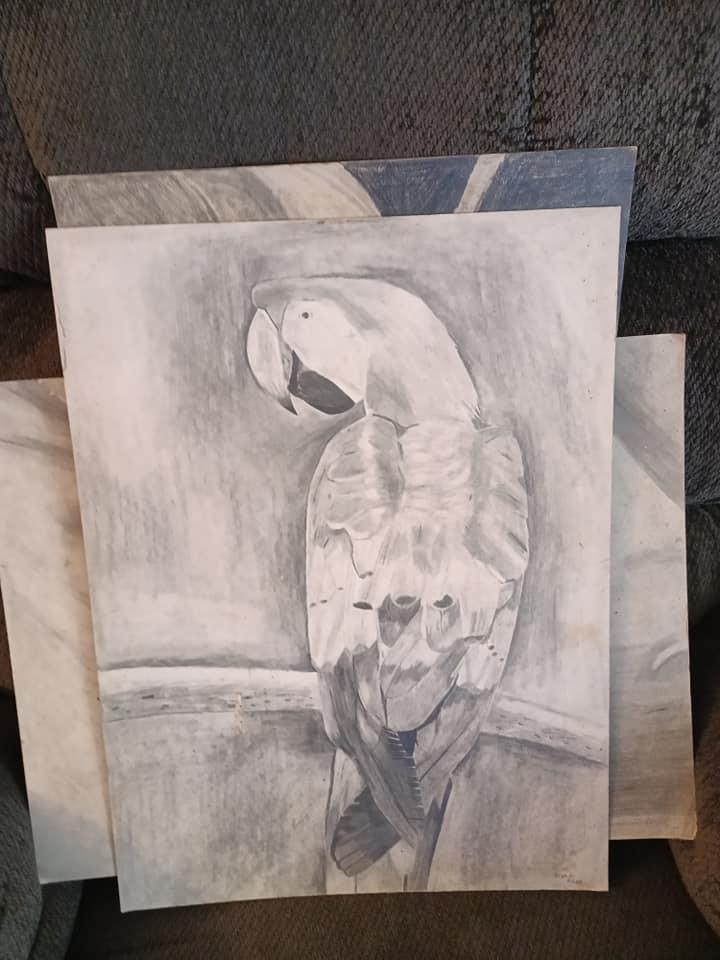 Sharon Plumlee's album, Mobile uploads