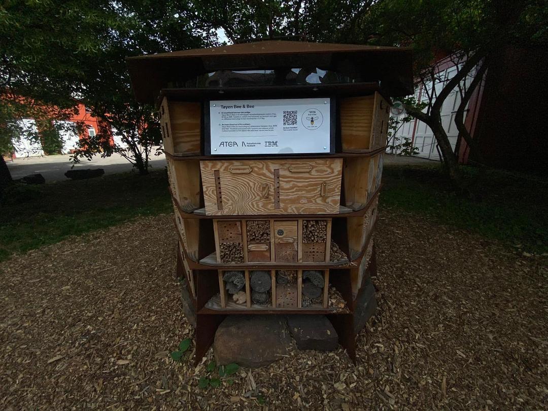 Joint Project with IBM to study bees to protect them and their valuable honey
