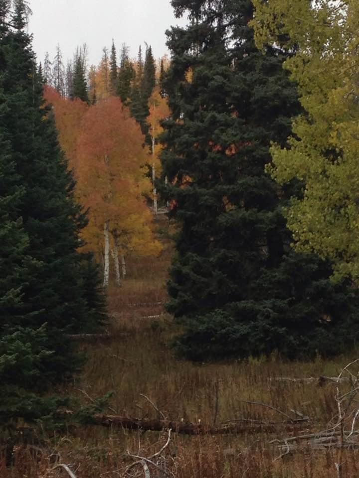 Catherine Samuelson's album, Timeline Photos
