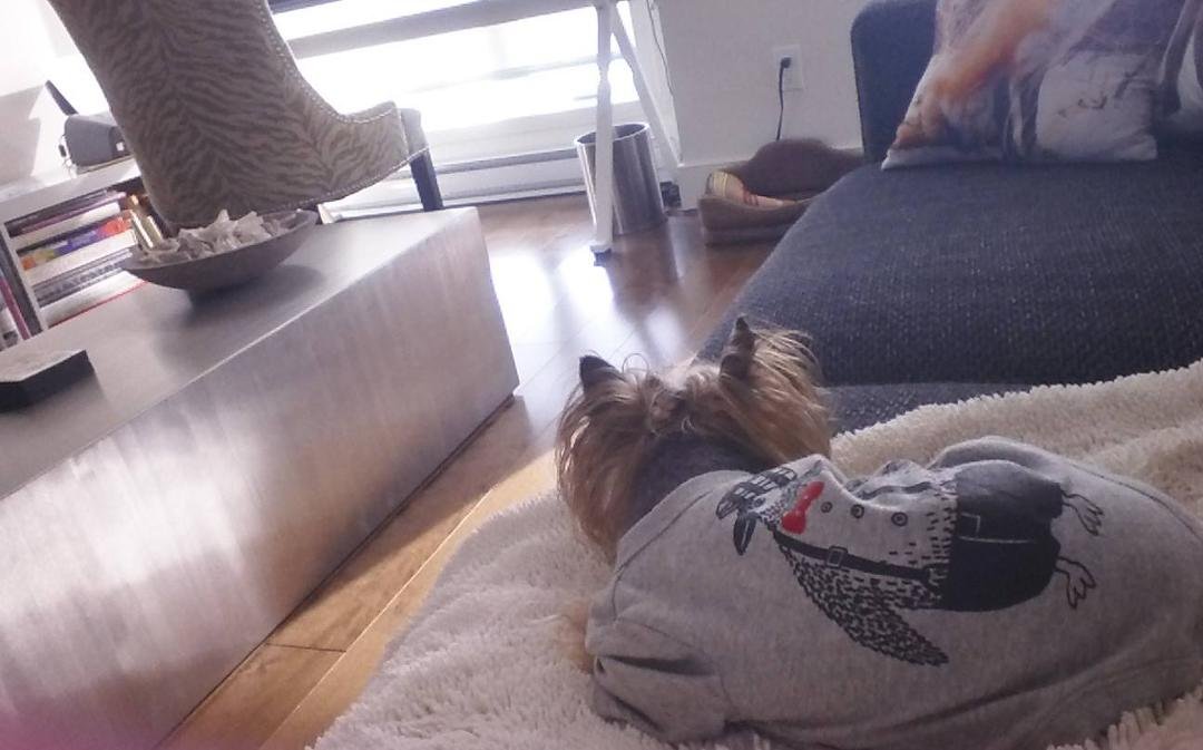 Gustave en pyjama...la belle vie...
