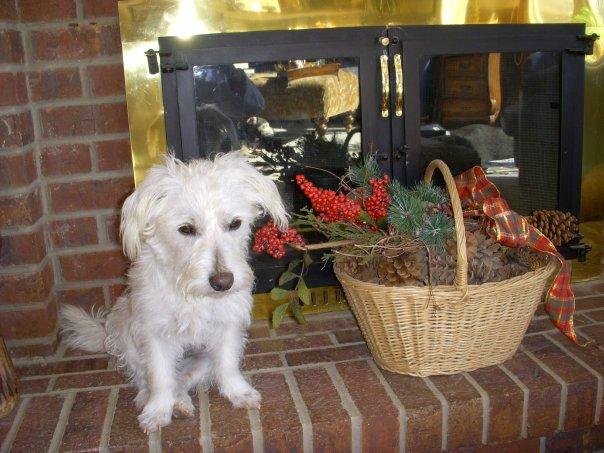 Nancy Wrigley's album, Timeline Photos