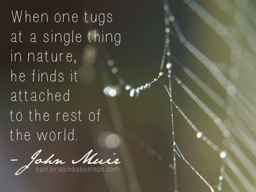 Mark Ford's album, Timeline Photos
