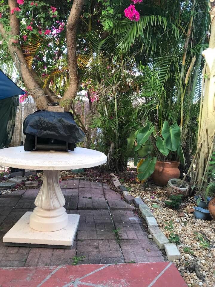 It also provides shade for the patio.