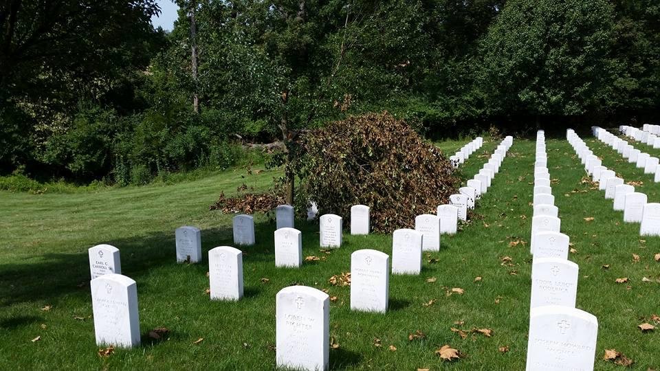 A recent bad storm went through Jefferson Barracks National Cemetery. This fallen tree is close to Elizabeth's grave. It did not fall on her Stone. For years one of Elizabeth's angel wind chime was in this tree. I finely fo