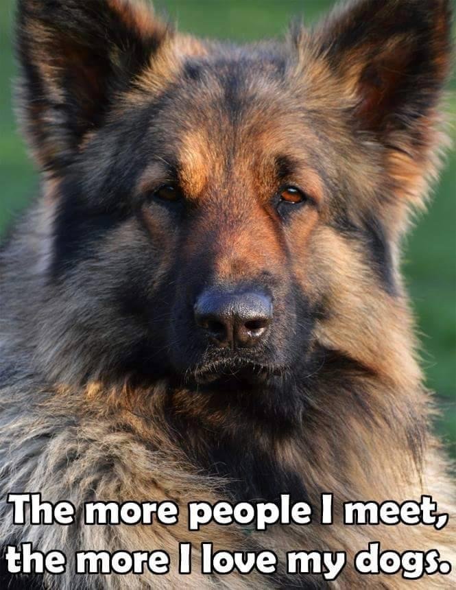 I totally agree lol.