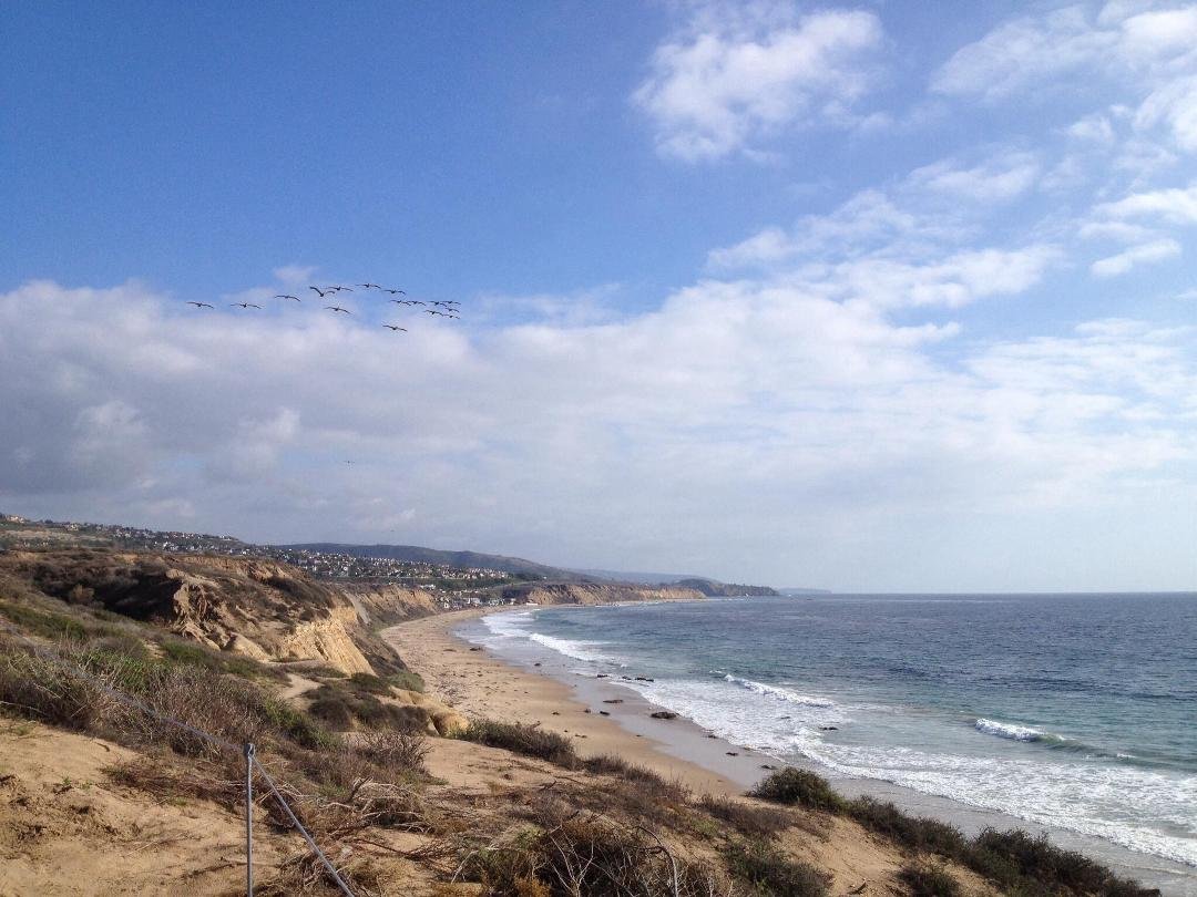 Went to Newport Beach today. Thought I'd send this pic back to my Kansas friends. I am NOT singing "Baby it's cold outside". The weather in Kansas looks frightful, but the snow is so delightful. Looks like it might be a