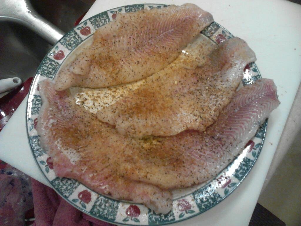 Catfish fillets