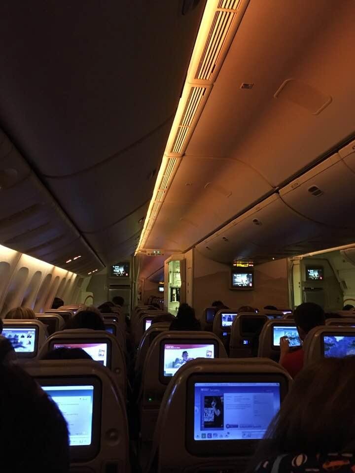 The plane, the plane