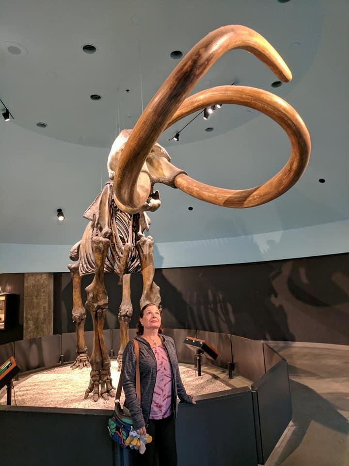 Complete mamonth skeleton found in The Tar Pits