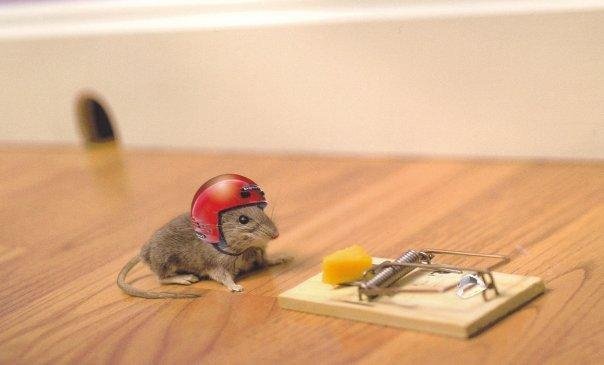 Robert Blakeslee's album, Bob's Funny Pic's