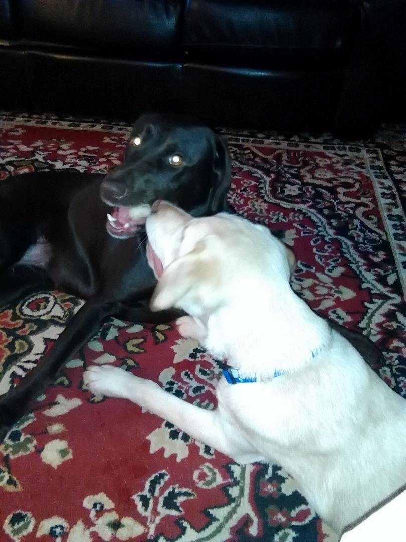 We even share the same bone ! My buddy..