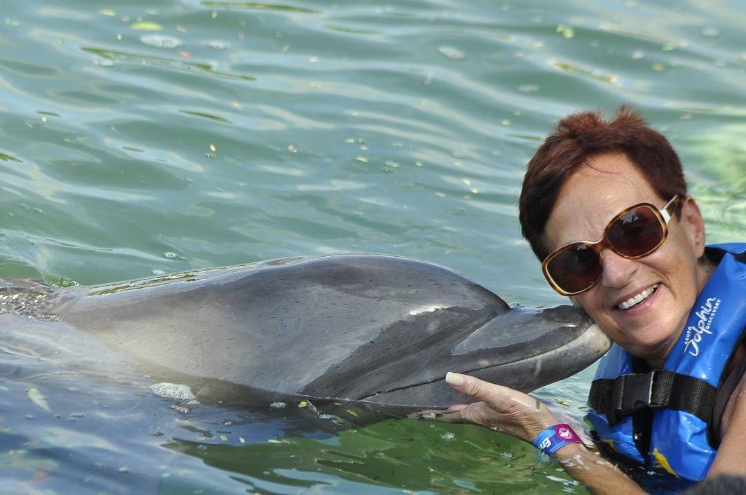 Swimming with the Dolphins in Mexico!!