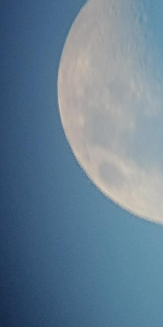 Thomas Crane's album, Mobile Uploads
