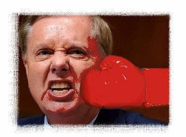 SNAKE, PHONY, HYPOCRITE.....CALL HIM WHAT YOU WILL. Wasn't he the one who once said about Trump; "I think he's a KOOK. I think he's crazy. I think he's unfit for office"? this is what Graham needs!🥊🥊🤣😃😀