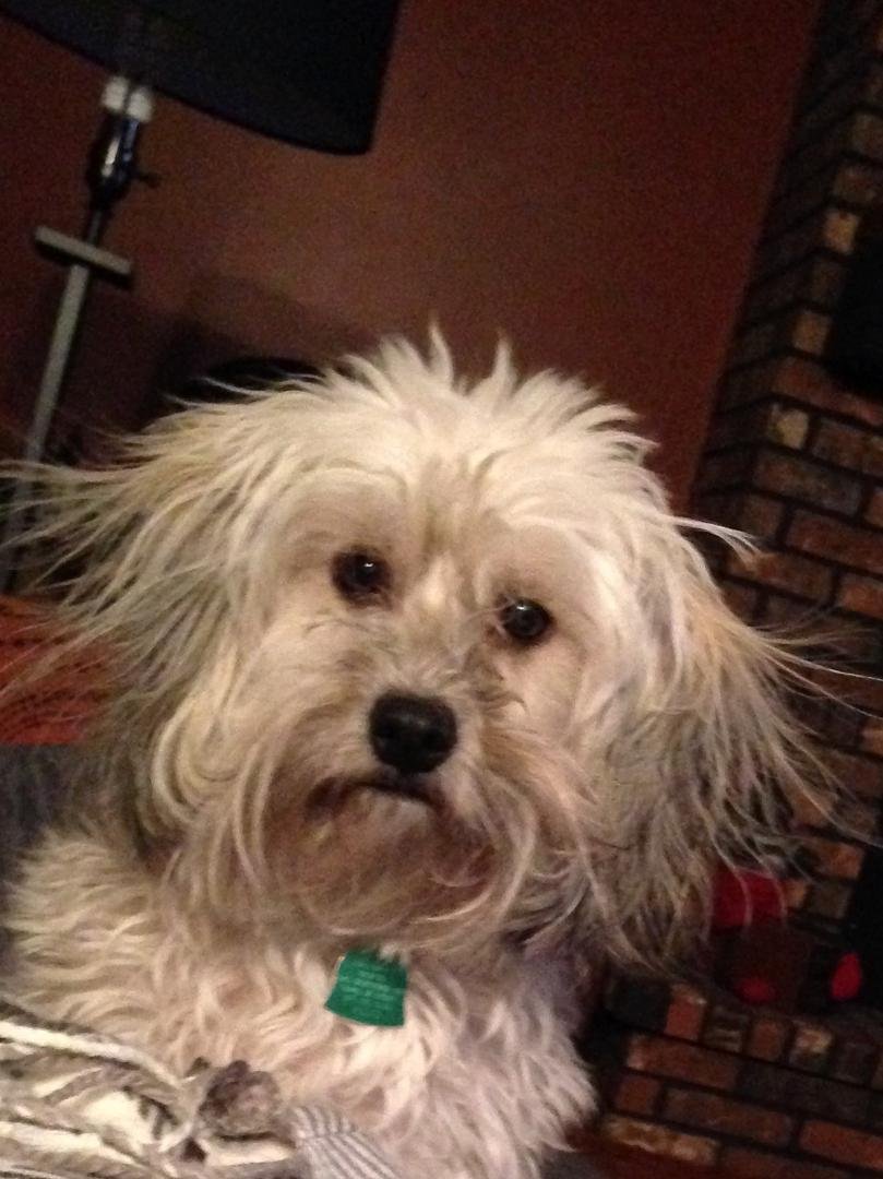 This is chili after her blow out