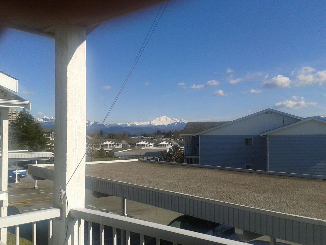 Frances my view from my deck.