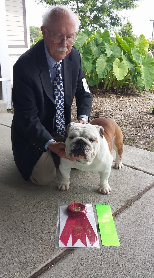 Digby, today Asheville Kennel Club. BOB, Group 2 Owner Handled, Group 2 Variety.
