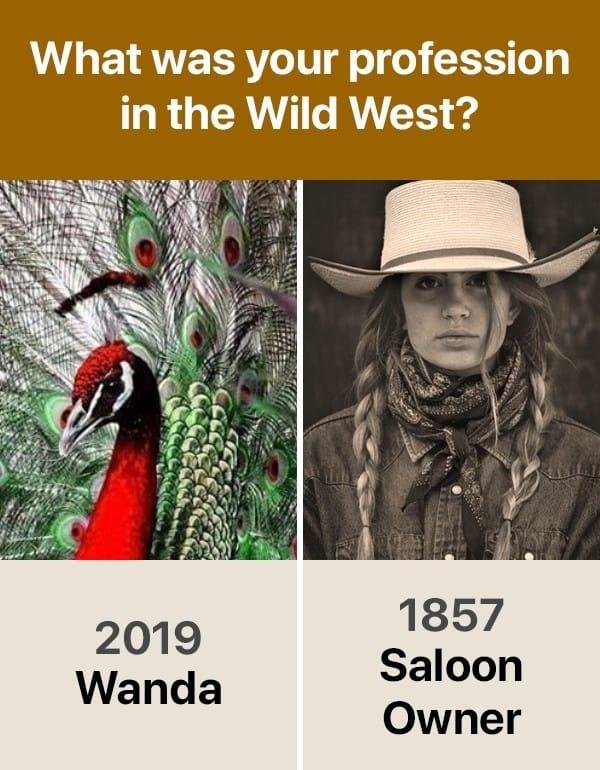 Wanda Bencze's album, Timeline photos