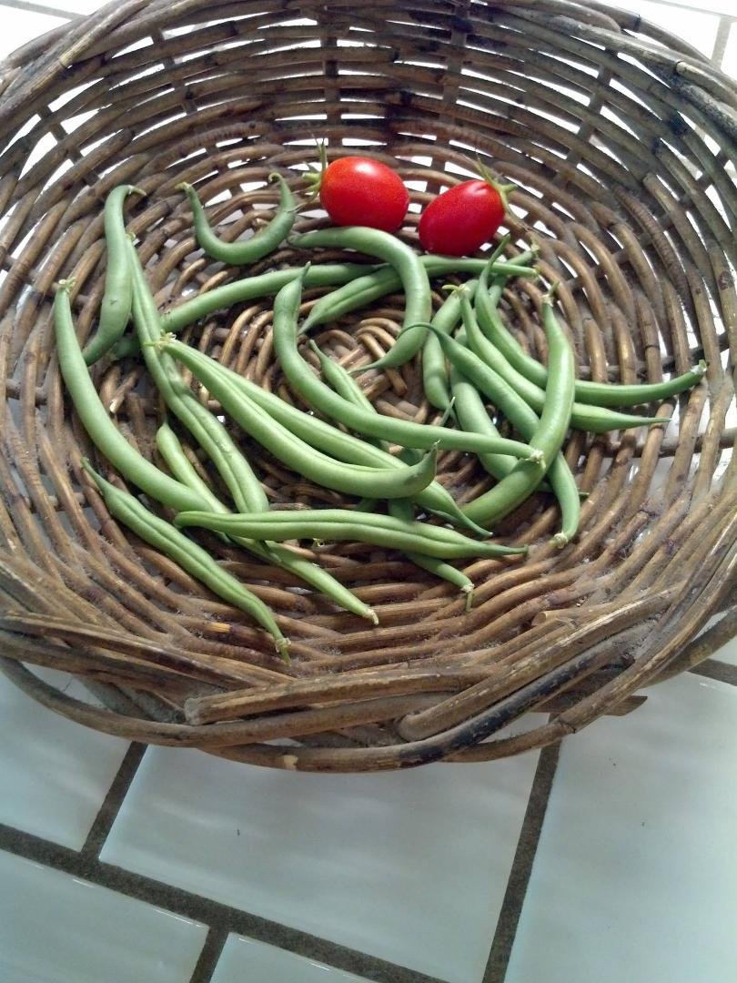 here is the latest batch of veggies from the garden.  first tomatoes.  more green beans.  can't wait to eat them.