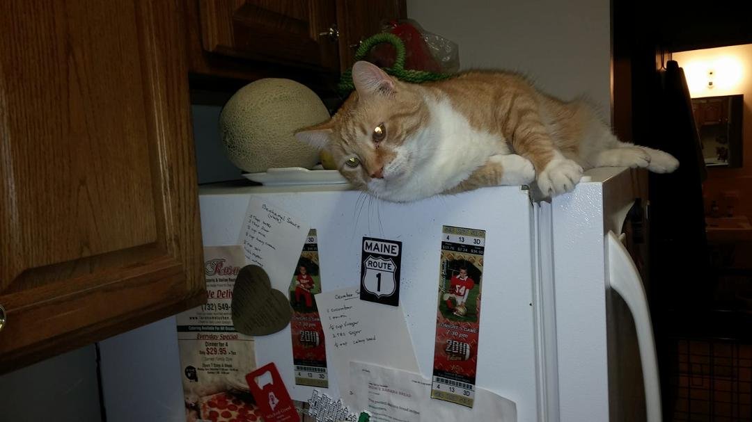 Watching me do dishes