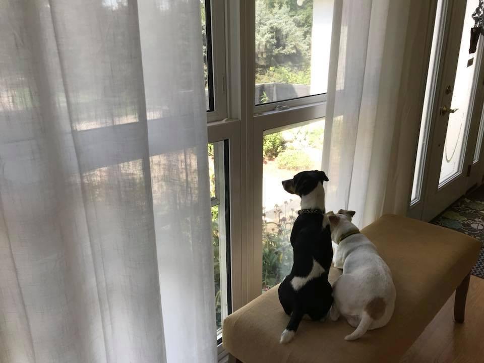 Wonder whom they are watching and waiting for? ❤️❤️❤️