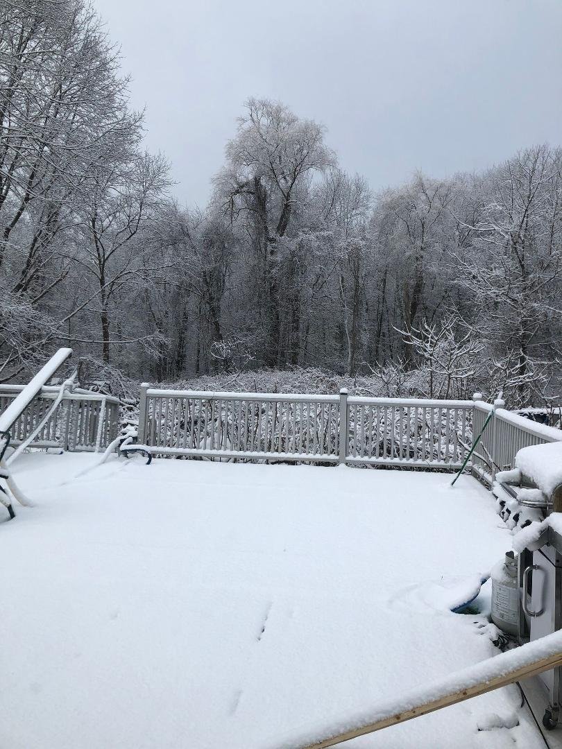 All I can say is "YUCK" !!!! This is my back yard today. Its full on that 4 letter word....SNOW !!!!!