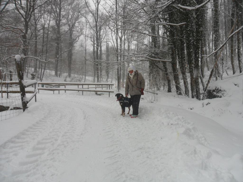 Margit Schmidt's album, Timeline Photos