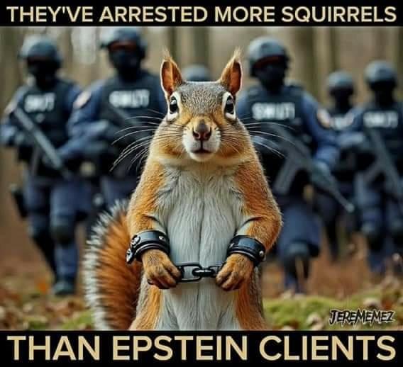 Bert Stellingwerf's album, Timeline photos