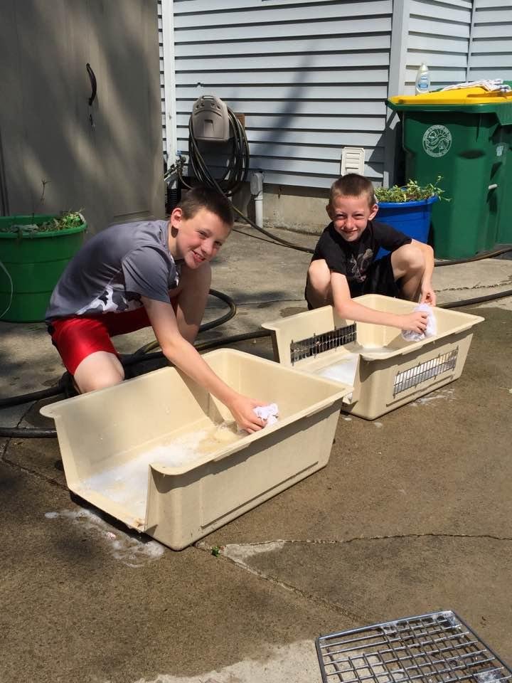 Had the boys over on Saturday to clean out the dog crate in preparation for the new puppy! So excited, I will have a new Grand dog this coming weekend. Jeff and Kelly and the boys will be getting an 8 week Viszla female.