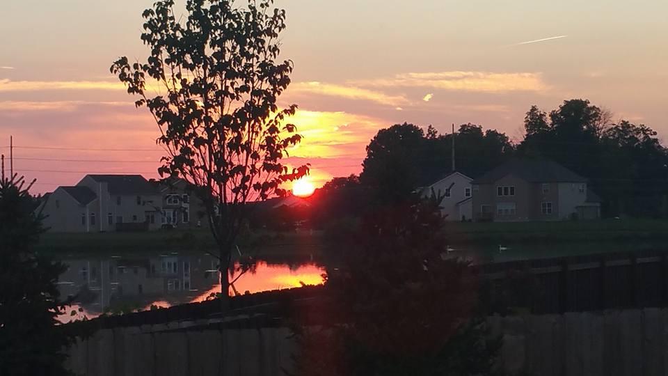 Great evening at home.