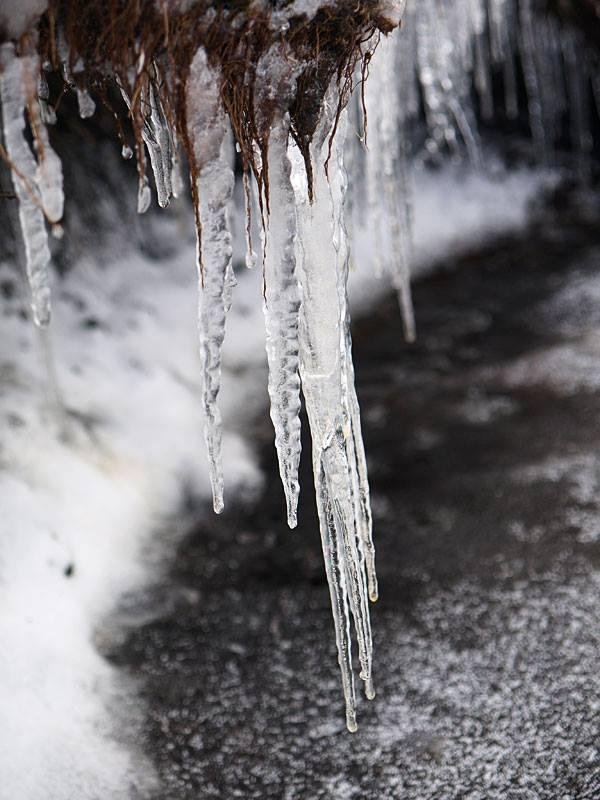 It's not this cold but it Dang sure feels like it! Off for JURY DUTY. Oh, how come there are MONDAYS???