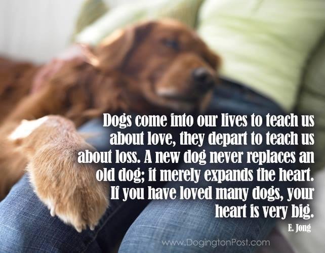 Sandy Prybylek's album, Timeline Photos