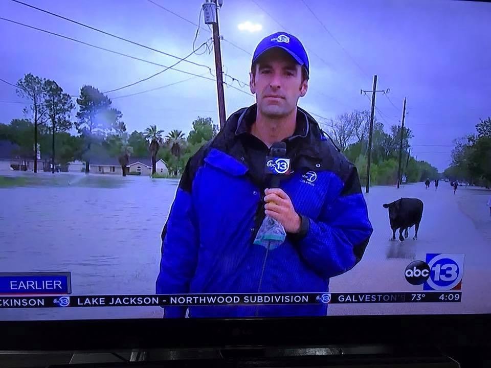 Joyce Britton, one of your tv reporters from LA are here just in time for the cattle roundup!!!
He's looking like what have they gotten me into!?!?!