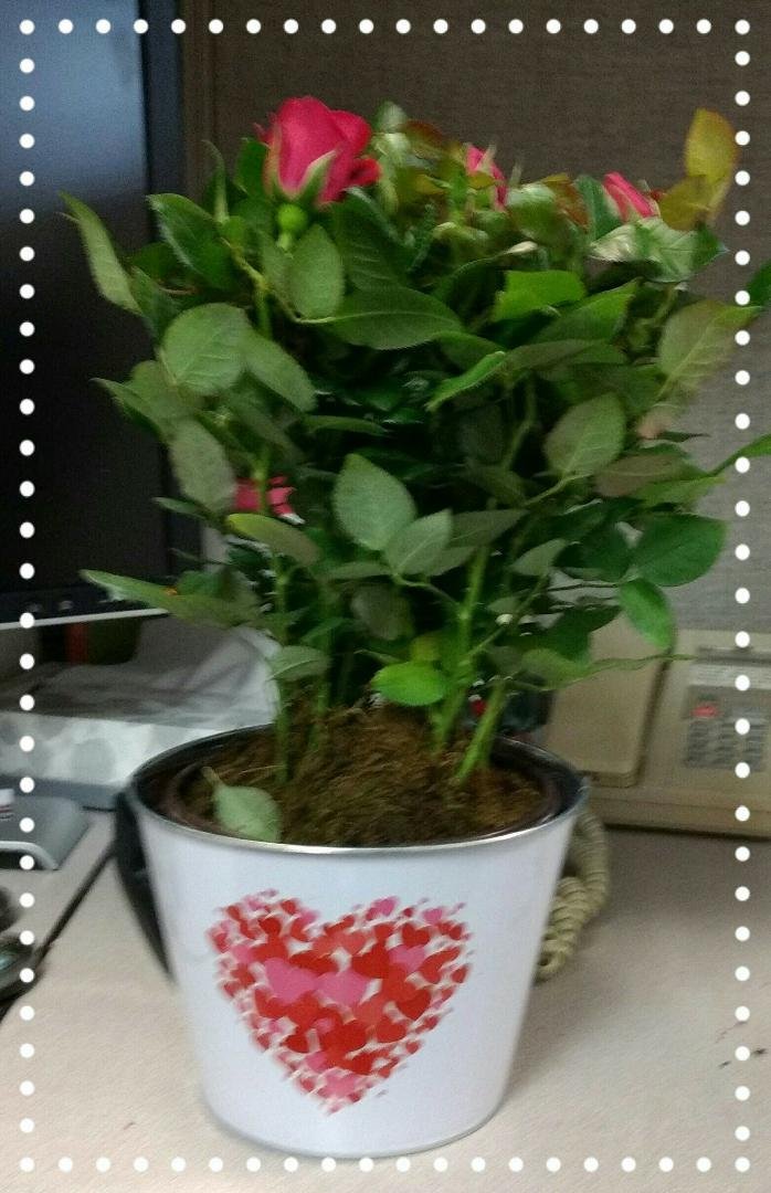 My Valentine loves me!!!