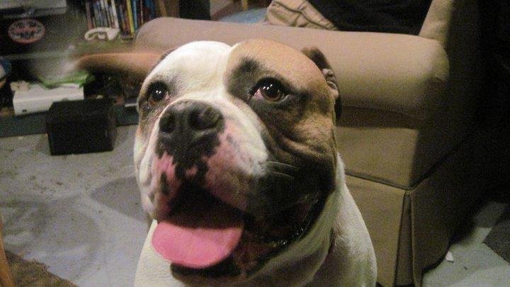 Bill Mullen's album, Timeline Photos