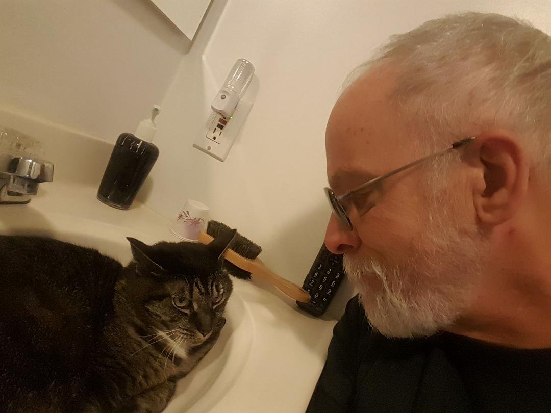 Are we eye to eye on this. The newest member of this household coming to an understanding with the oldest. Her name is Gizmo and she's a senior cat, I think we'll call her Gizzy.