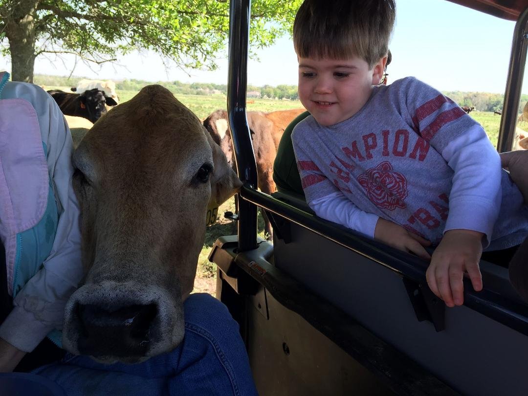 Thank you Miss Debbie and Mr Steve for our ride today! I LOVED SEEING all the MOO-cows and their babies!!