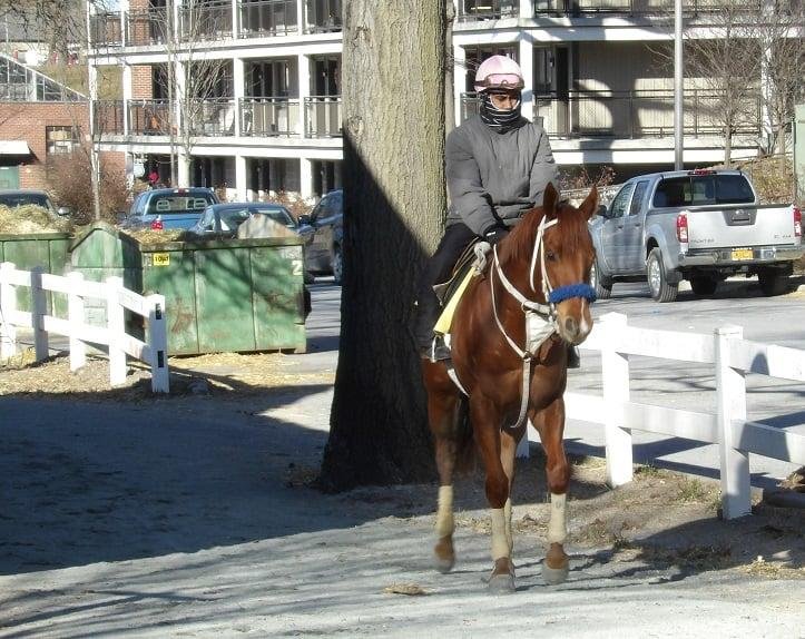 Belmont Race Track 
Sunday, January 24, 2021

Heading back home to the barn.